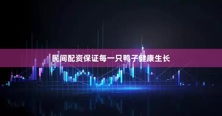 民间配资保证每一只鸭子健康生长