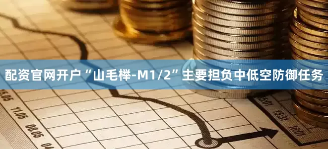 配资官网开户“山毛榉-M1/2”主要担负中低空防御任务